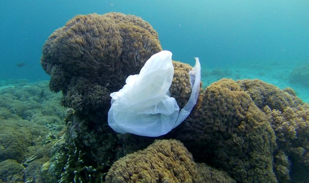 Plastic bag in ocean • Making Oceans Plastic Free