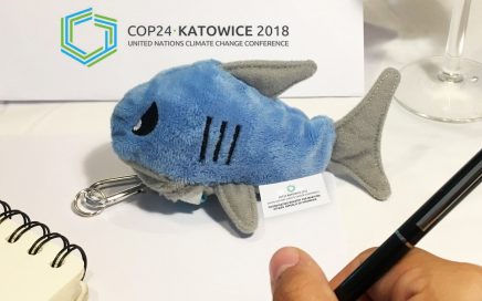 Tasini Shark at COP24